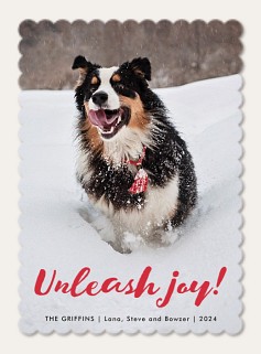 Unleash Joy