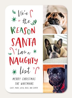 PUG PUPPY WITH CHRISTMAS GIFTS SINGLE DOG PRINT GREETING CHRISTMAS CARD