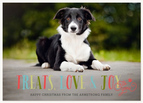 Treats, Love & Joy Christmas Cards