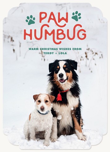 Paw Humbug Christmas Cards