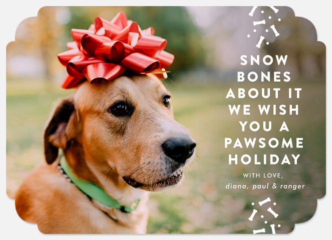Snow Bones Holiday Photo Cards