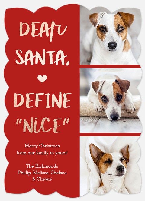 Define Nice Holiday Photo Cards