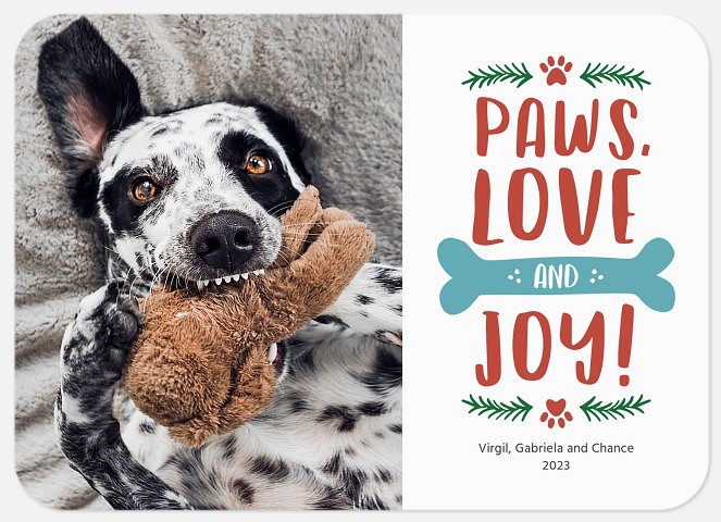 Joyful Paws Holiday Photo Cards