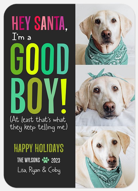 Good Boy Holiday Photo Cards