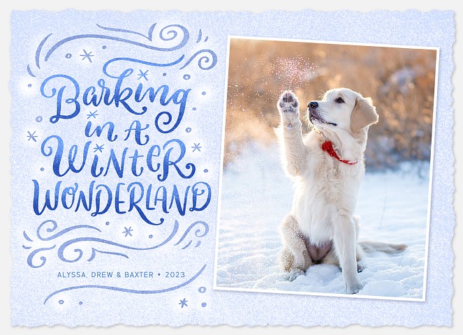 Winter Wonder Holiday Photo Cards