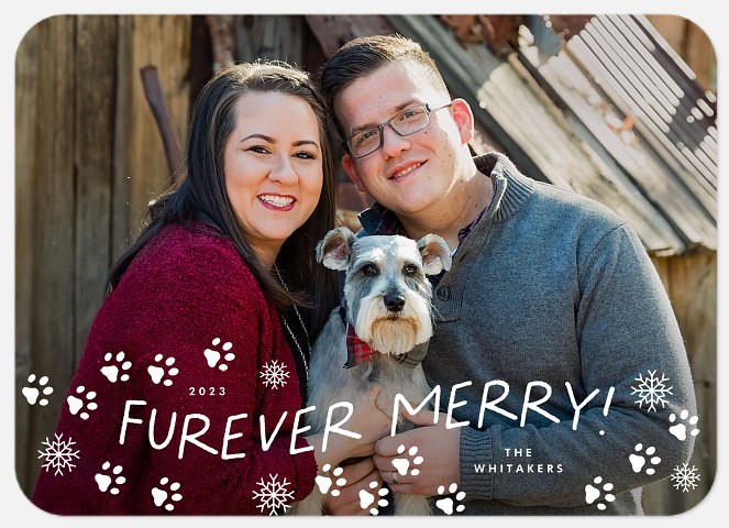 Furever Merry Holiday Photo Cards
