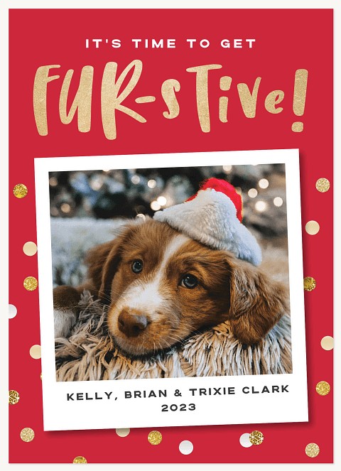 Furstive Personalized Holiday Cards