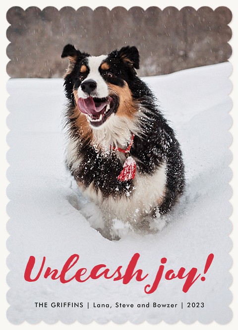 Unleash Joy Dog Christmas Cards