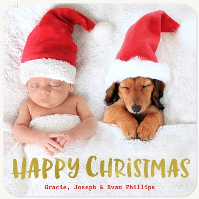 Gilded Shimmer Christmas Cards