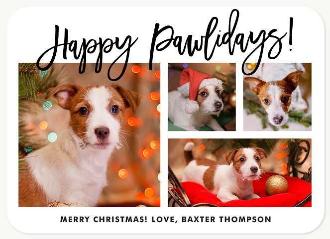 Happy Pawlidays Dog Christmas Cards