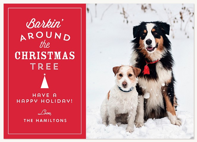 Barkin' Around  Personalized Holiday Cards