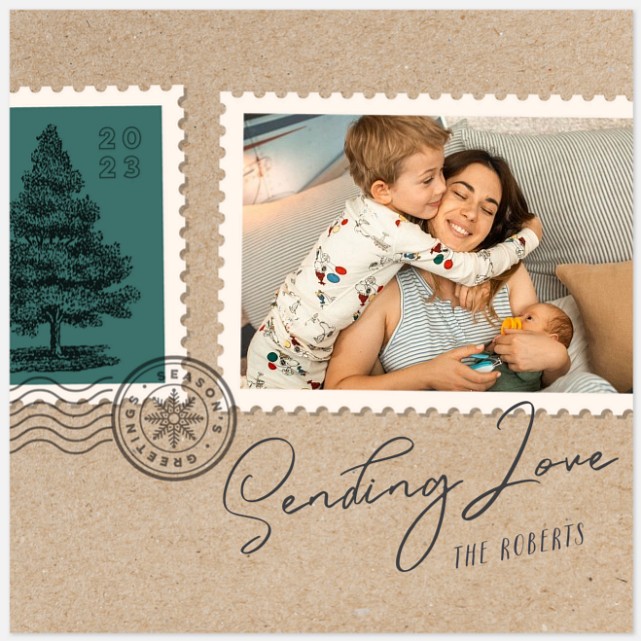 Rustic Envelope Holiday Photo Cards