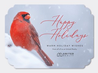 Cardinal Photo Card
