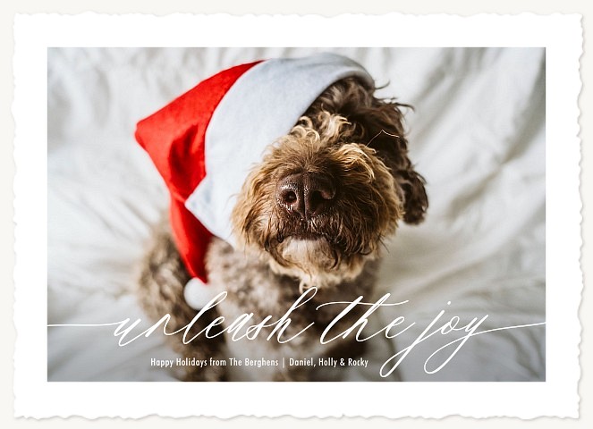 Unleashed Personalized Holiday Cards