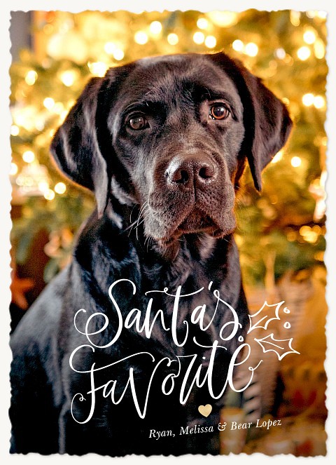 Santa's Favorite Personalized Holiday Cards