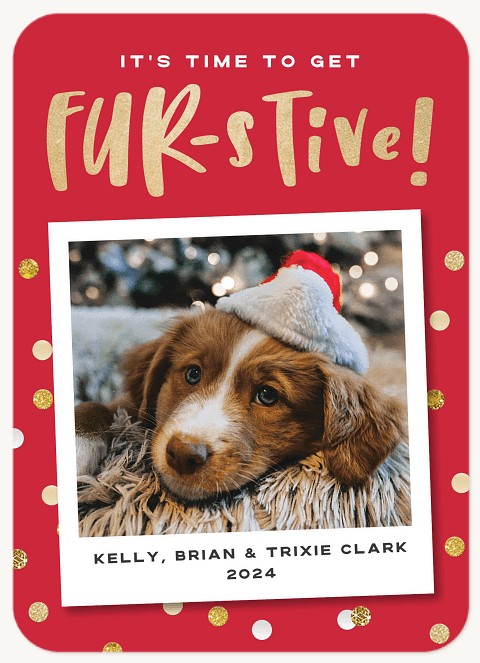 Furstive Personalized Holiday Cards