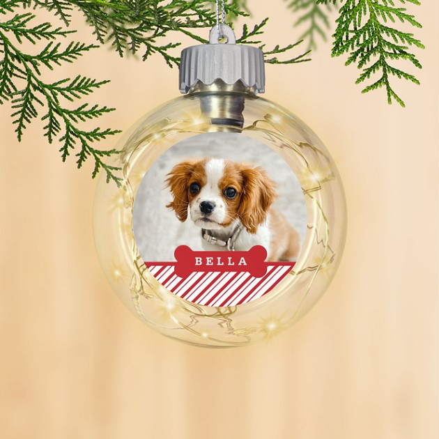 Chic Canine Personalized Ornaments