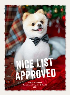 Nice List Approved