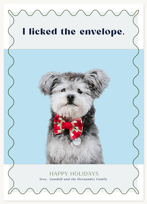 Licked The Envelope Personalized Holiday Cards