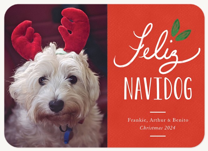 Feliz Holly Dog Christmas Cards