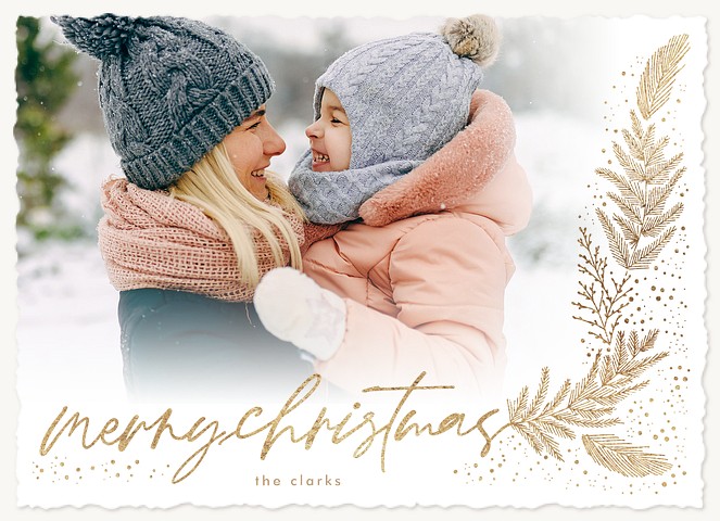 Elegant Frost Personalized Holiday Cards