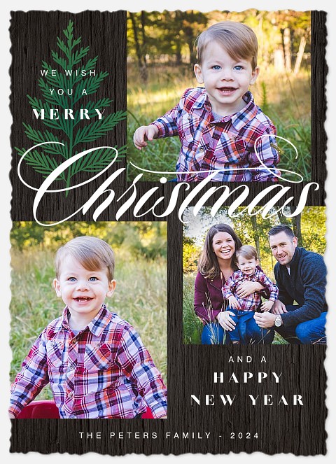 Evergreen Trio Holiday Photo Cards