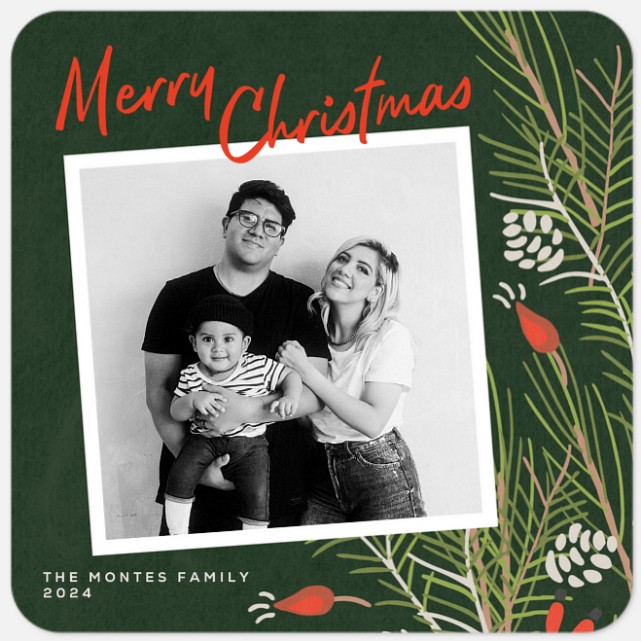 Berry Branches Holiday Photo Cards