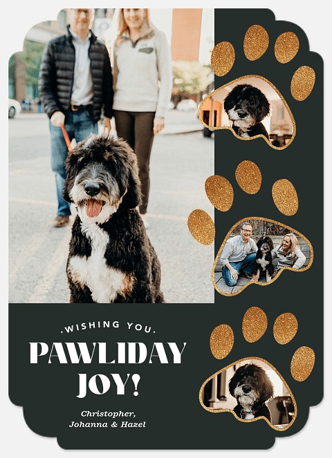 Paw Prints Holiday Photo Cards