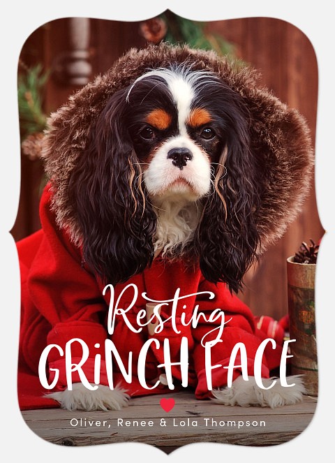 Grinch Face Holiday Photo Cards