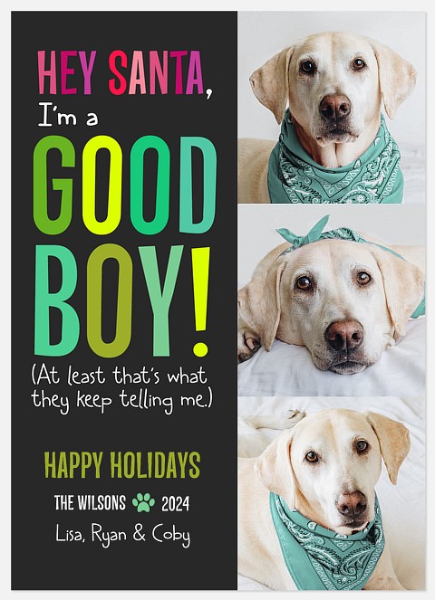 Good Boy Holiday Photo Cards